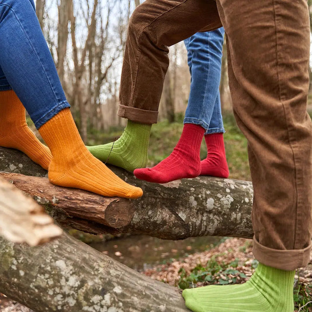 97% Cotton Crew Socks for Men and Women - Colorful