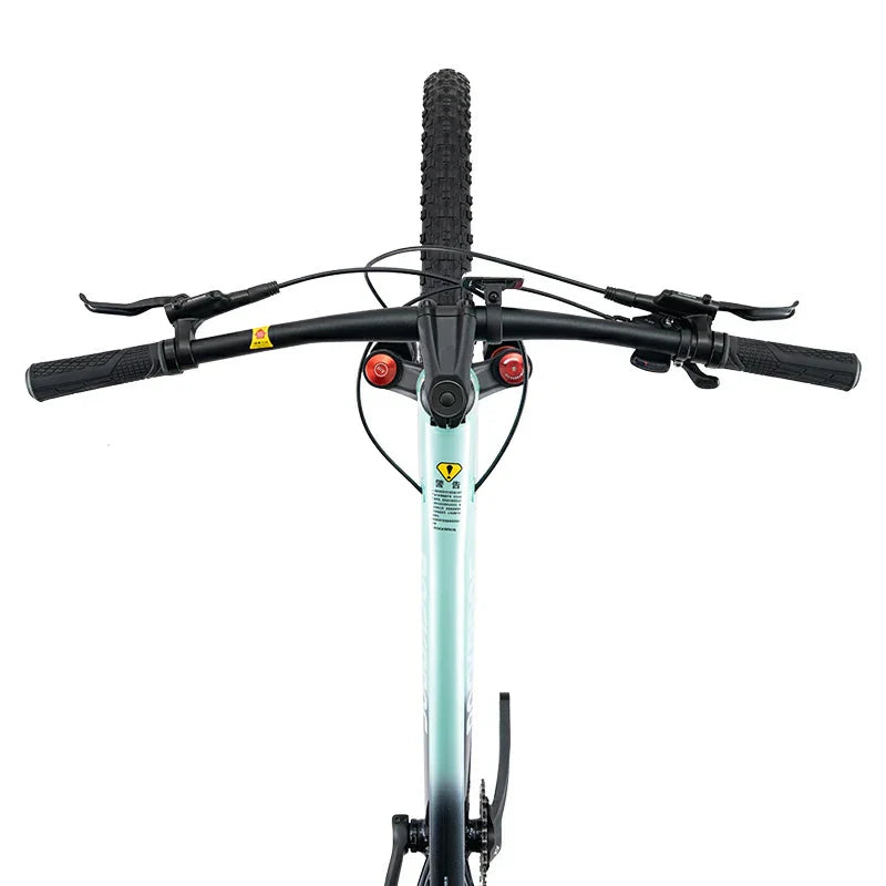 MT600 - Mountain Bike