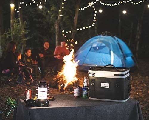 ROCKBROS Portable Soft Cooler Bag 30 CAN Insulated Leak Proof Soft Pack Coolers