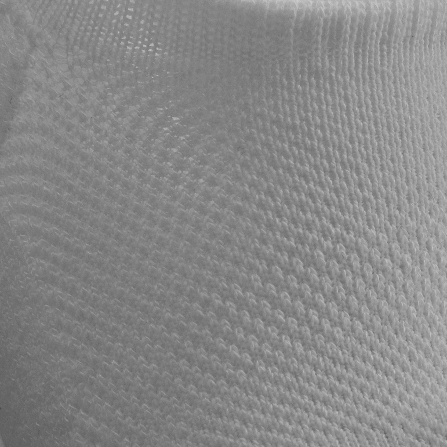 The Women's No Show Sock