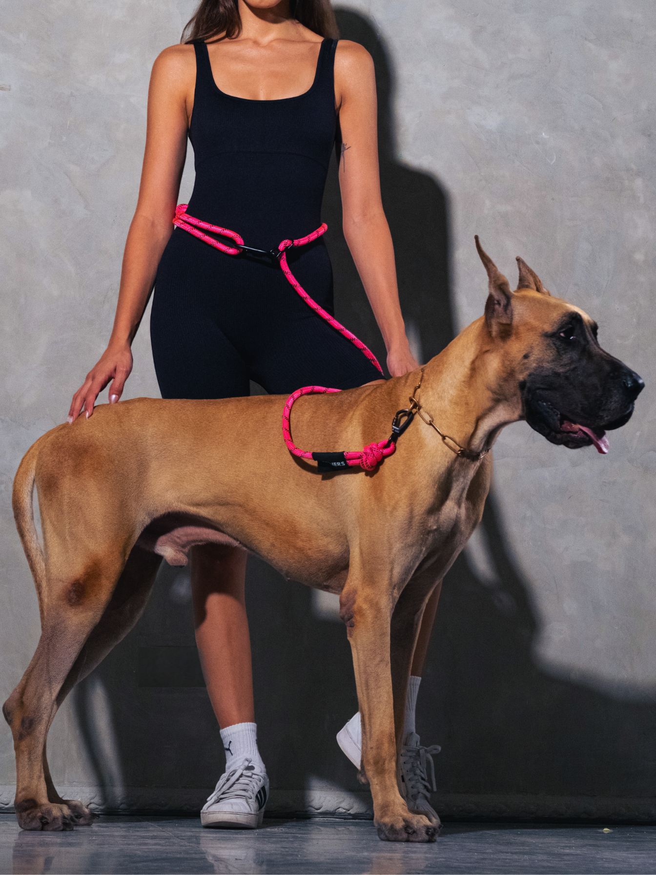 Neon Pink Running Hands-Free Dog Leash