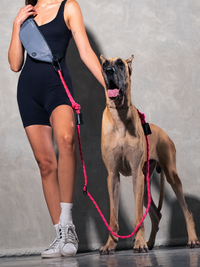 Neon Pink Running Hands-Free Dog Leash
