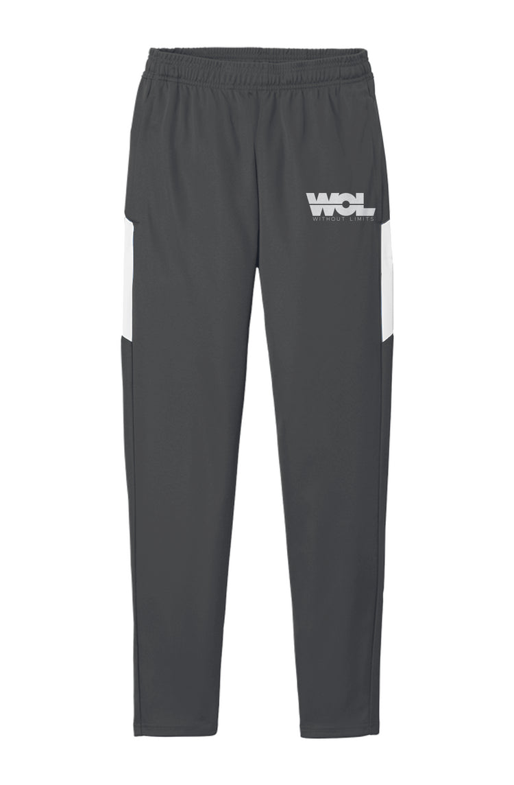 Men's Travel Pant