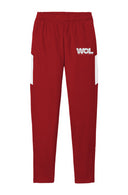 Men's Travel Pants