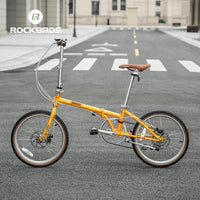 VDS 20-Inch Folding Bike