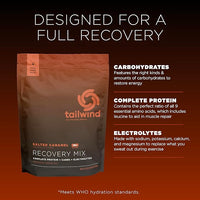 Tailwind Nutrition Recovery Mix, 20 Grams Complete Protein, Carbohydrates, and Electrolytes Powder Drink Mix for Post-Workout, Free of Gluten, Soy, and Dairy, Vegan, 20 Servings, Salted Caramel