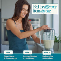 LyfeFuel All-in-One Essentials Nutrition Shake | Complete Meal Replacement Powder | 50+ Superfood Blend, 18g Plant- Based Protein - Vanilla, 24 Servings