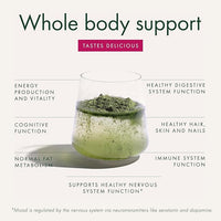 WelleCo The Super Elixir Daily Greens Powder, Probiotic Drink Mix with Whole Foods, Gluten Free, Vegan Gut Health Powder, Energy, Immunity, Healthy Skin, Hair & Nails (300g, Mixed Berry)