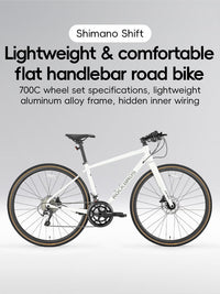 ROCKBROS SPIN-P2M Series Road Bike