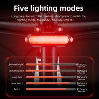 ROCKBROS Frog Style Bike Tail Light