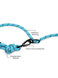 Aqua Blue Running Hands-Free Dog Leash