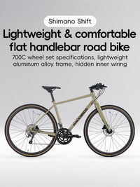 ROCKBROS SPIN-P2M Series Road Bike
