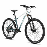 MT300 - Mountain Bike