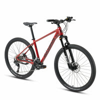 MT300 - Mountain Bike
