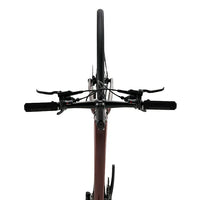 LynxFox - Carbon Fiber Road Bike