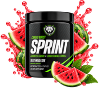 SPRINT