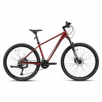 MT300 - Mountain Bike