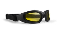 Goggle