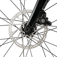 LynxFox - Carbon Fiber Road Bike
