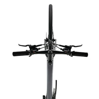 LynxFox - Carbon Fiber Road Bike