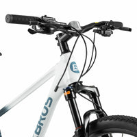 MT300 - Mountain Bike