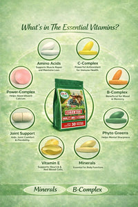 Vital 4U Essential 30-Day Multivitamin