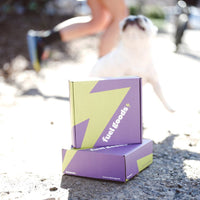 Active Essentials Kit