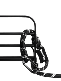 Aqua Blue Running Hands-Free Dog Leash