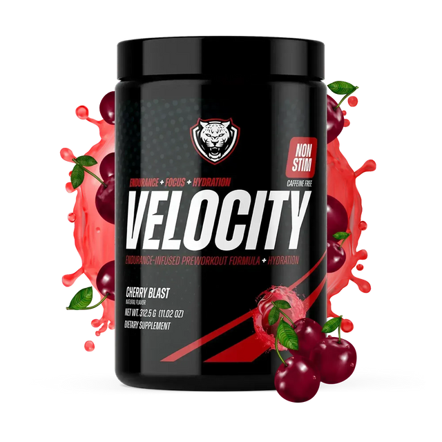 VELOCITY