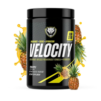 VELOCITY