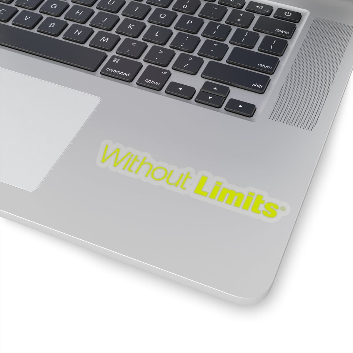 Without Limits® Stickers