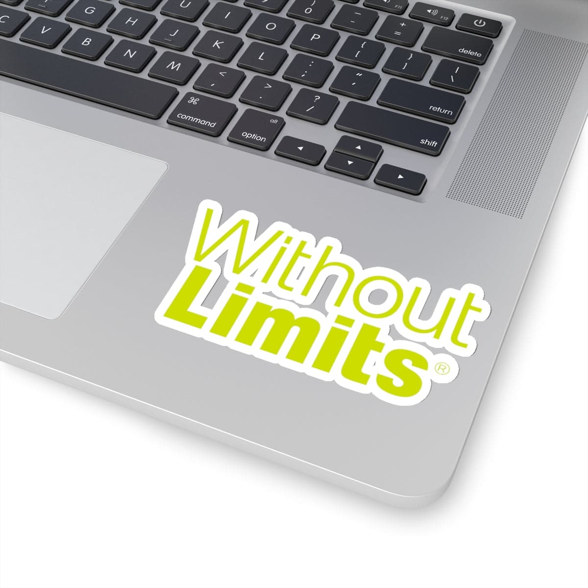 Without Limits® Stickers