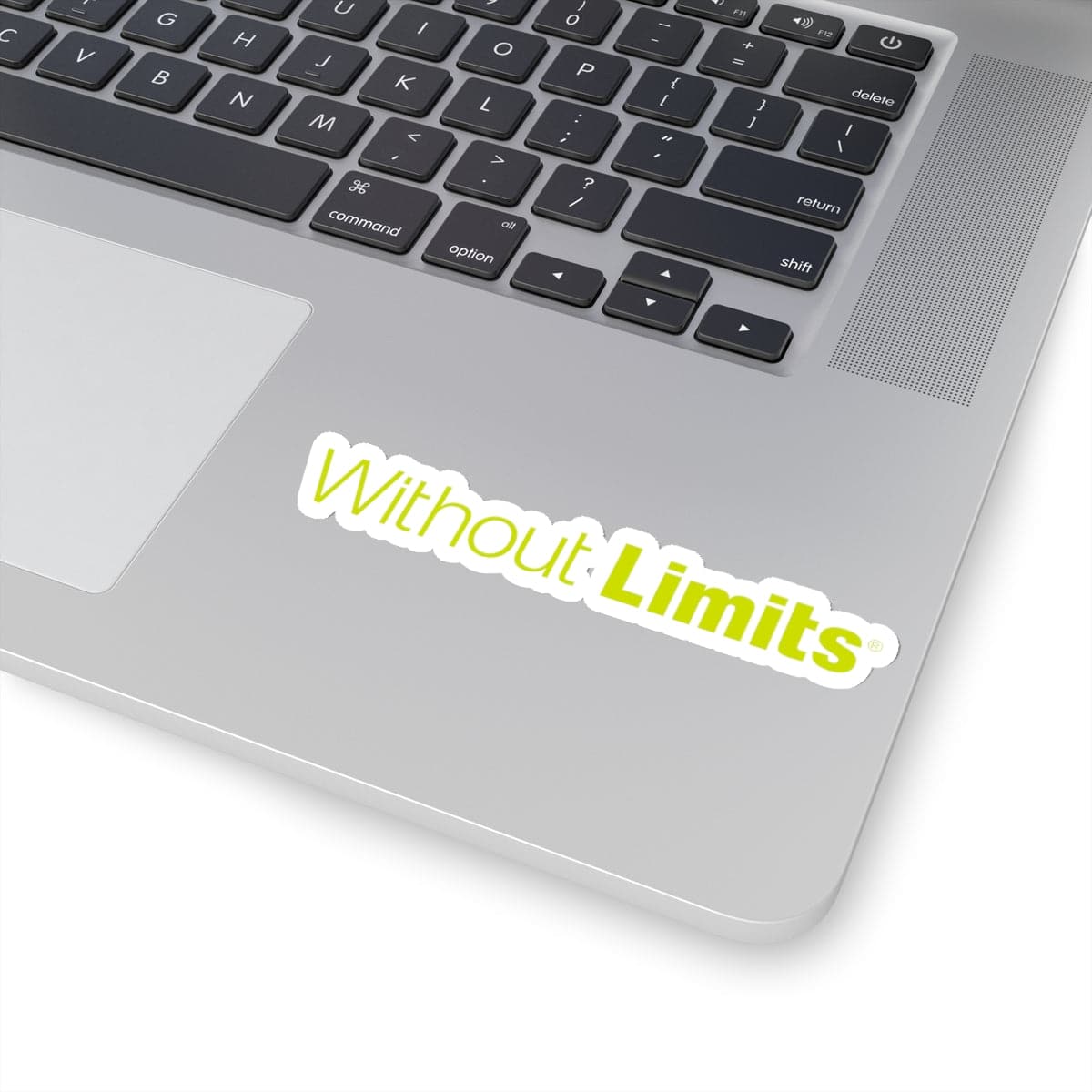 Without Limits® Stickers