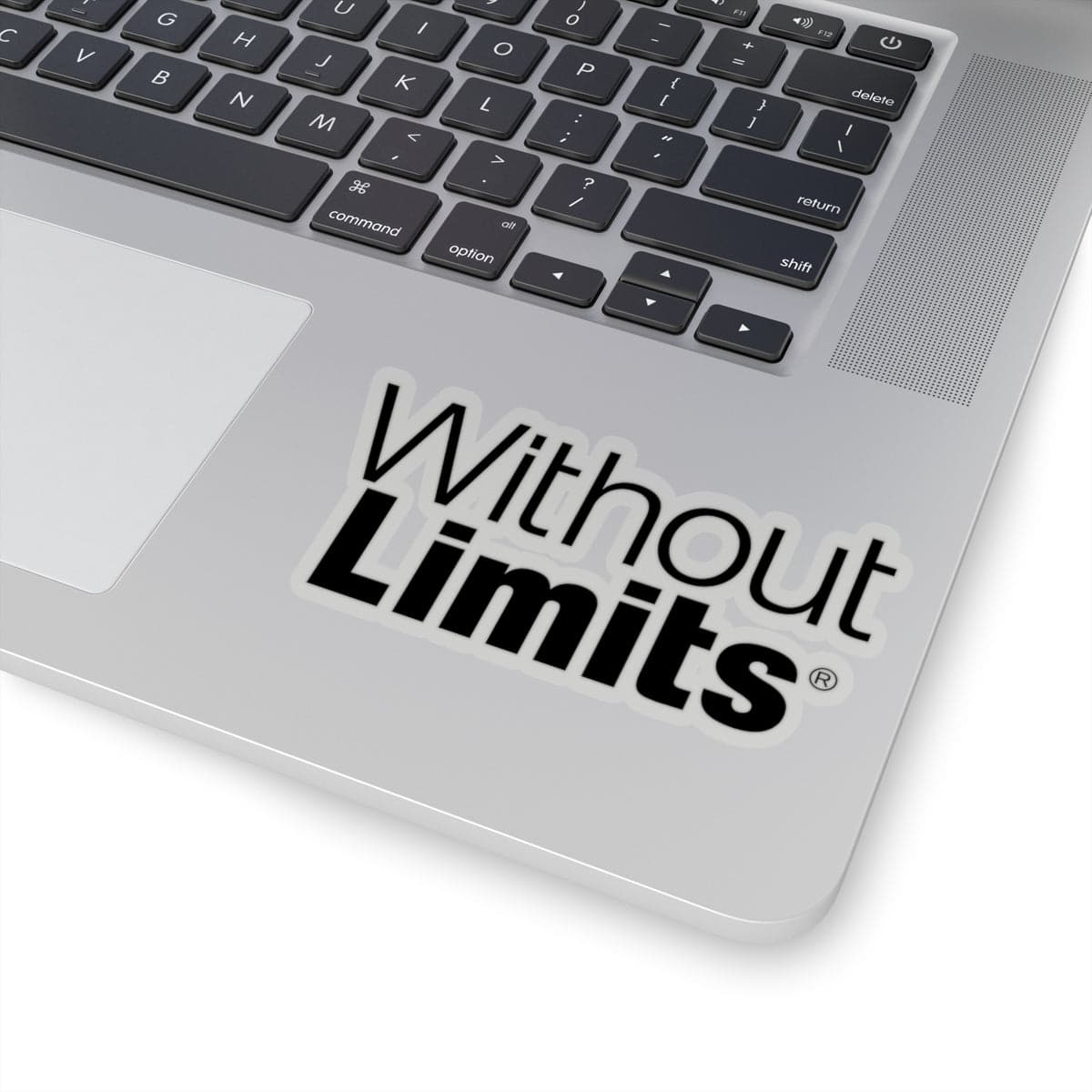 Without Limits® Stickers